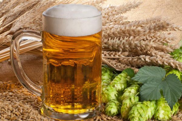 Bia được làm từ lúa mạch nên cũng có dưỡng chất tương tự để trị mụn