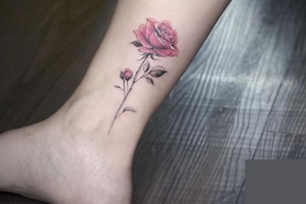 Kiểu xăm hoa hồng dưới chân