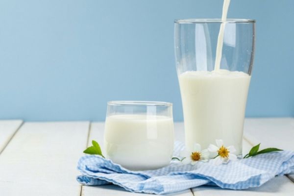 Sữa tươi “tích hợp” nhiều dưỡng chất có lợi