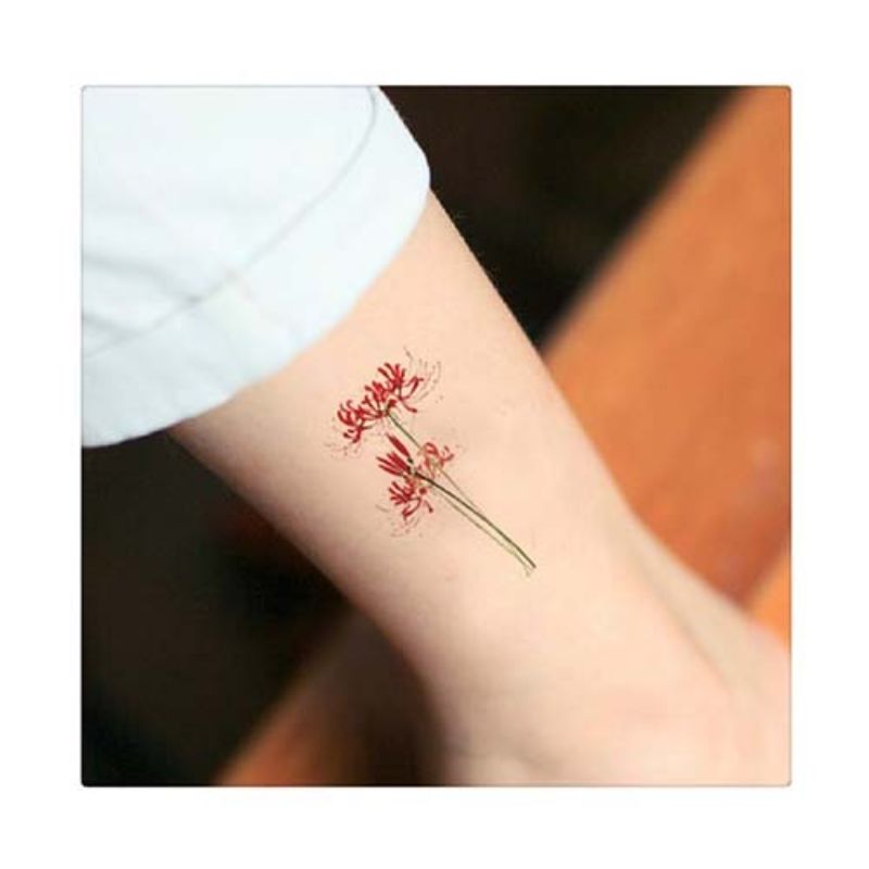 1079 ý nghĩa hình xăm hoa bỉ ngạn đẹp đỏ đen xanh mini ở tay chân  cho nam nữ cùng hàng triệu mẫu khác