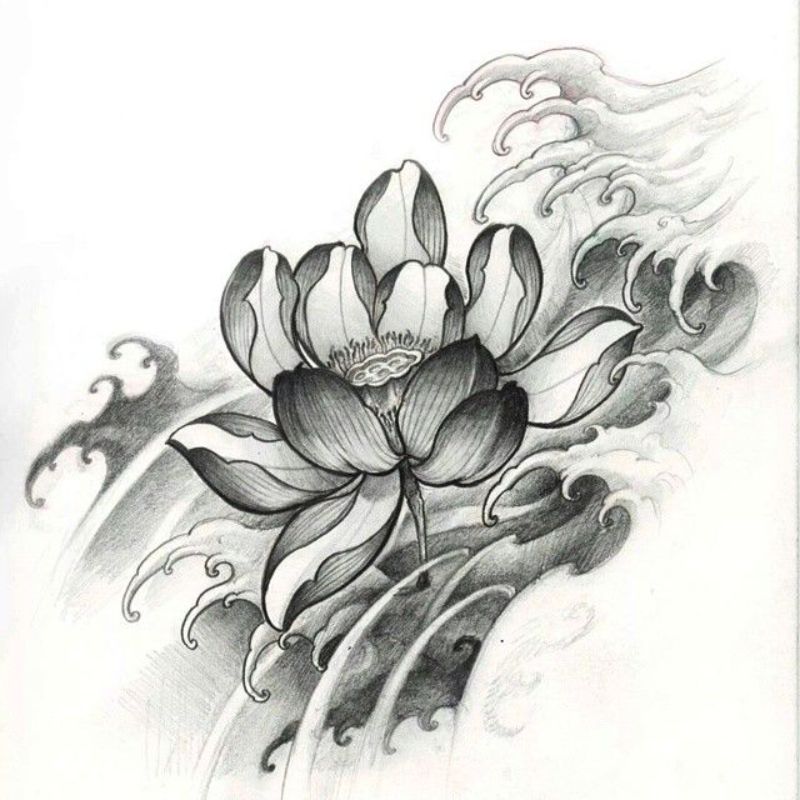 Hình xăm hoa sen họa tiết đen trắng nhưng không nhạt nhòa