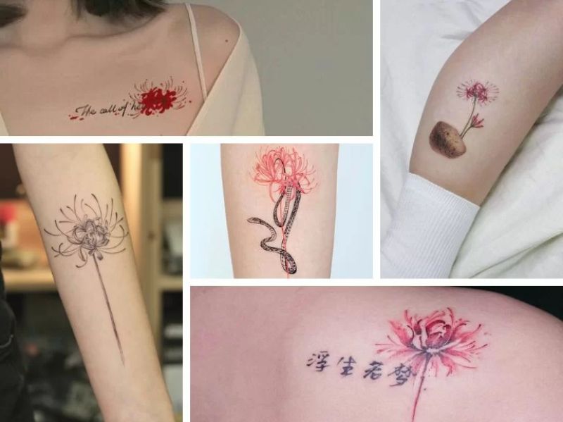 Những mẫu tattoo hoa bỉ ngạn được cách điệu và đầy thu hút cho nữ